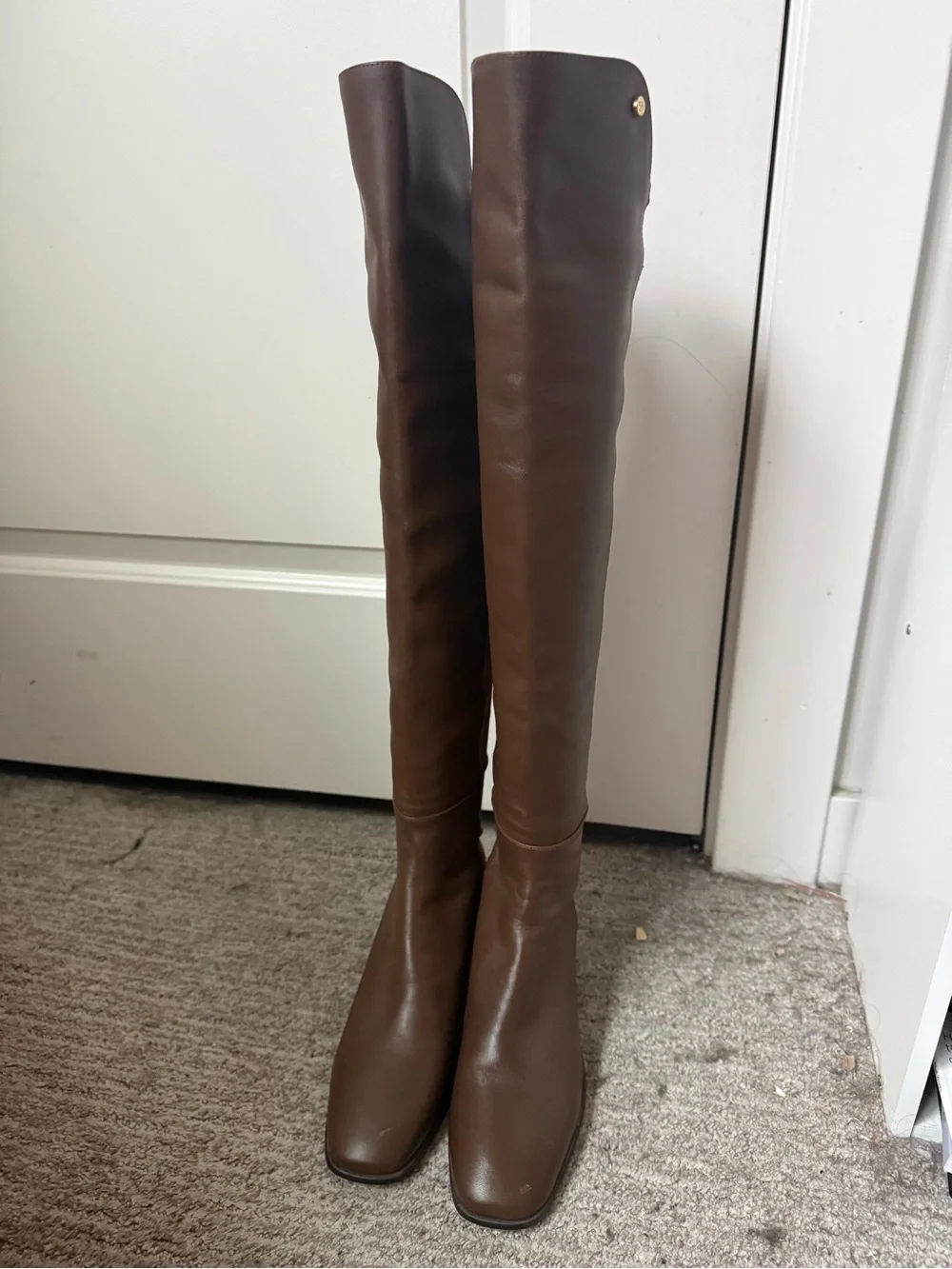 Stuart Weitzman Tall Brown Over-the-Knee Boots